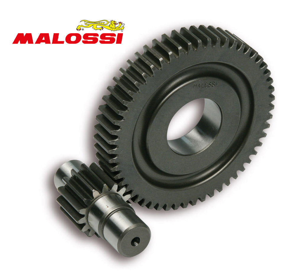 Secundaire vertanding Malossi 15/55 | Piaggio 4T 12