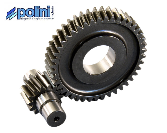 Secundaire Vertanding Polini 14/43 | Piaggio 4T